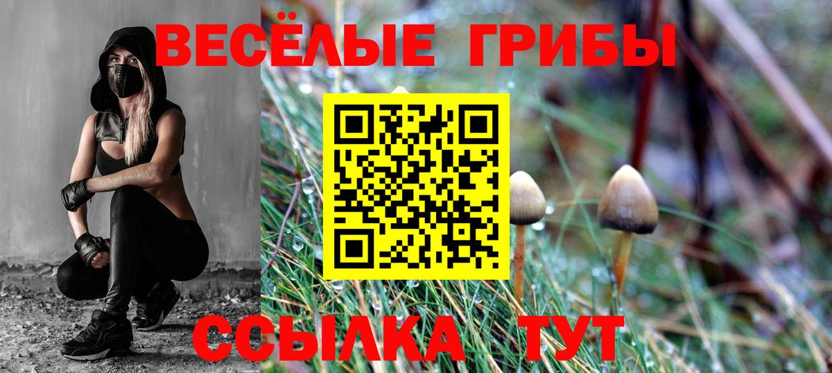 Галлюциногенные грибы Cubensis Нефтекумск