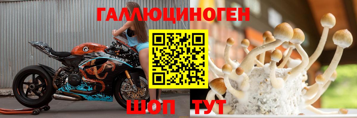 Нефтекумск  Галлюциногенные грибы Psilocybe  Галлюциногенные грибы ЛСД  Вход с VPN 